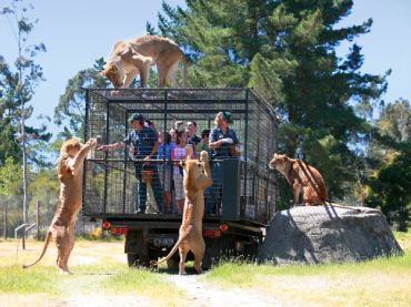 Orana Wildlife Park